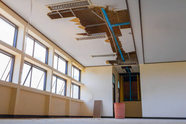 Best Basement water damage restoration  in Woodmoor, CO