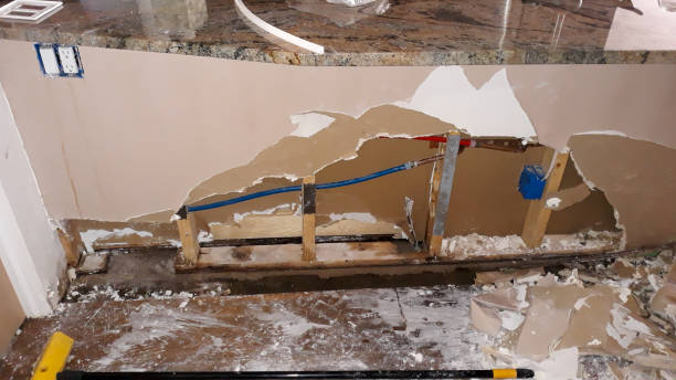 Best Mold removal after water damage  in Woodmoor, CO