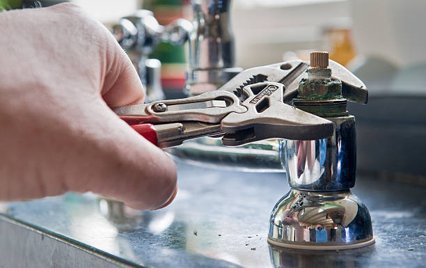 Best Professional water damage repair  in Woodmoor, CO