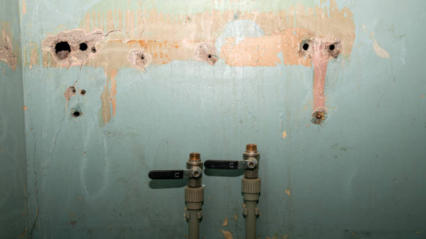 Best Carpet water damage restoration  in Woodmoor, CO