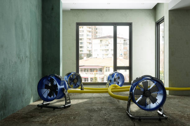 Best Water damage cleanup near me  in Woodmoor, CO