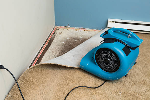 Local water damage restoration in CO